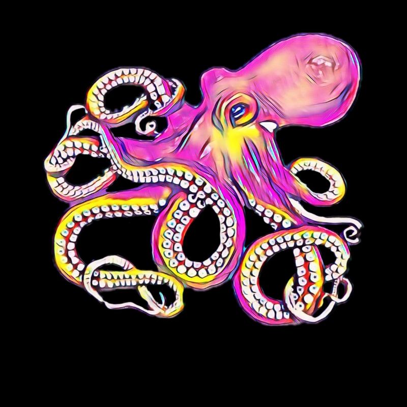 Octopus