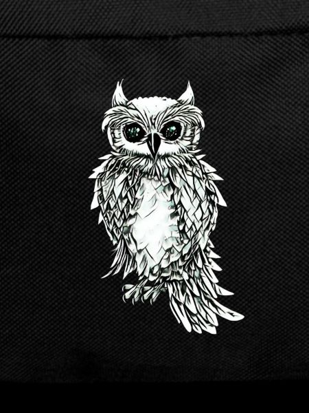 owl