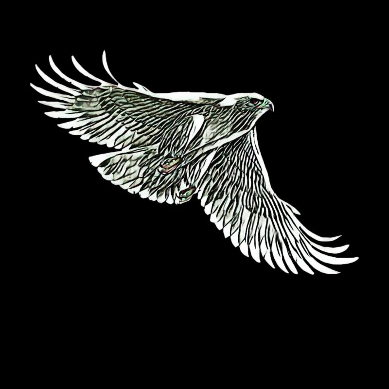 Falcon