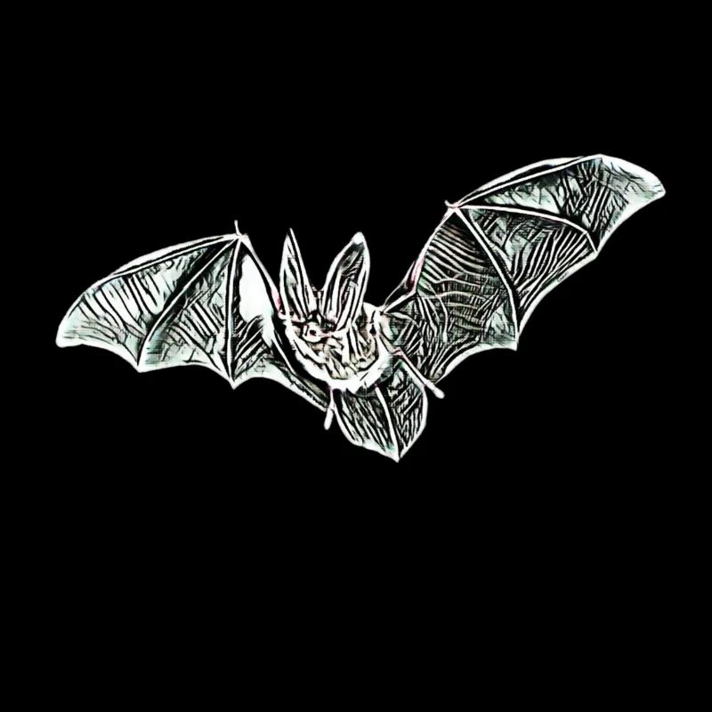 bat