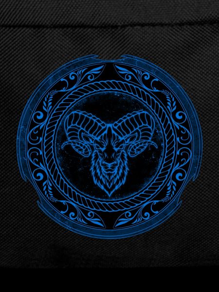 Viking Aries Aries