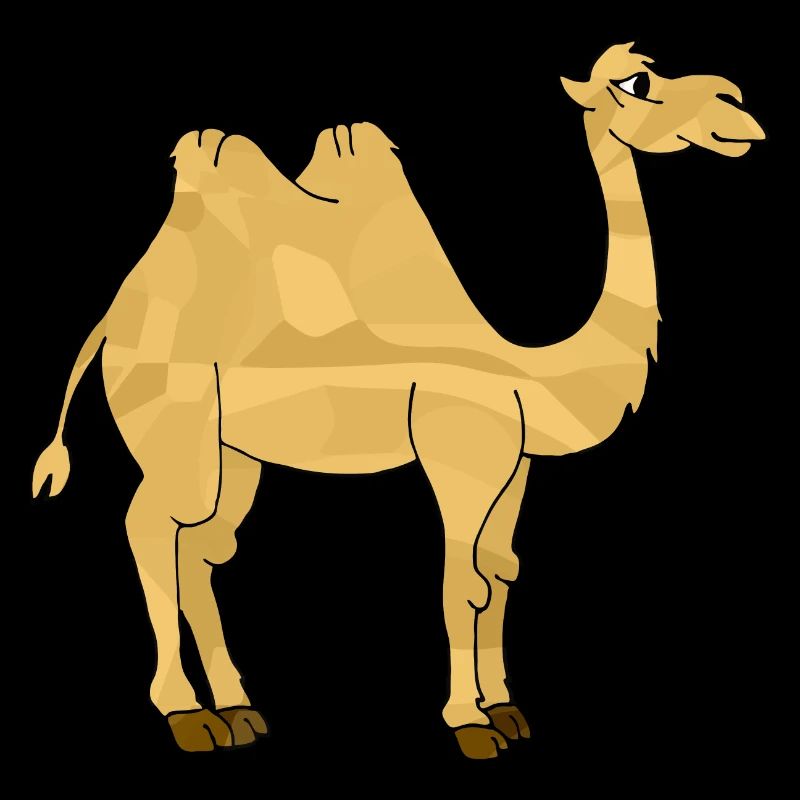 Camel