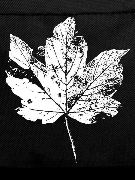 Leaf Autumn Leaf Foliage Autumn