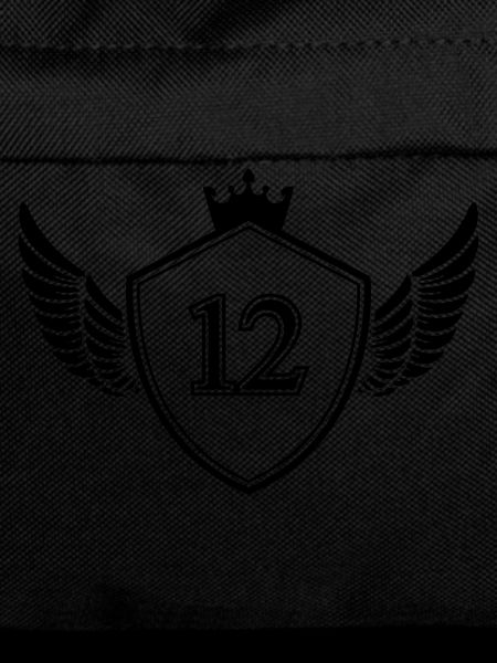 Coat of arms 12