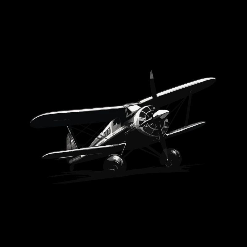 Model Airplane Pilot Flight Hobby Flyer