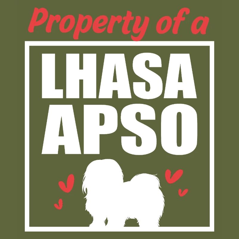 Lhasa Apso Dog