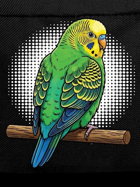 Budgerigars Budgie Owners Budgies