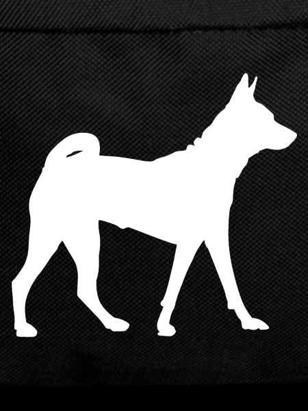 Basenji Dog - Basenji