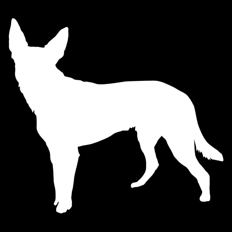 Kelpie Hund - Kelpie