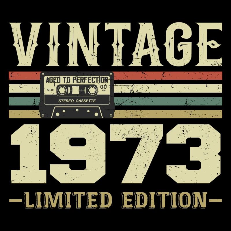 Vintage 1973 Retro 1973 Birthday Gift