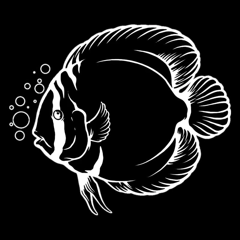 Discus Fish Tropical Fish Keeper