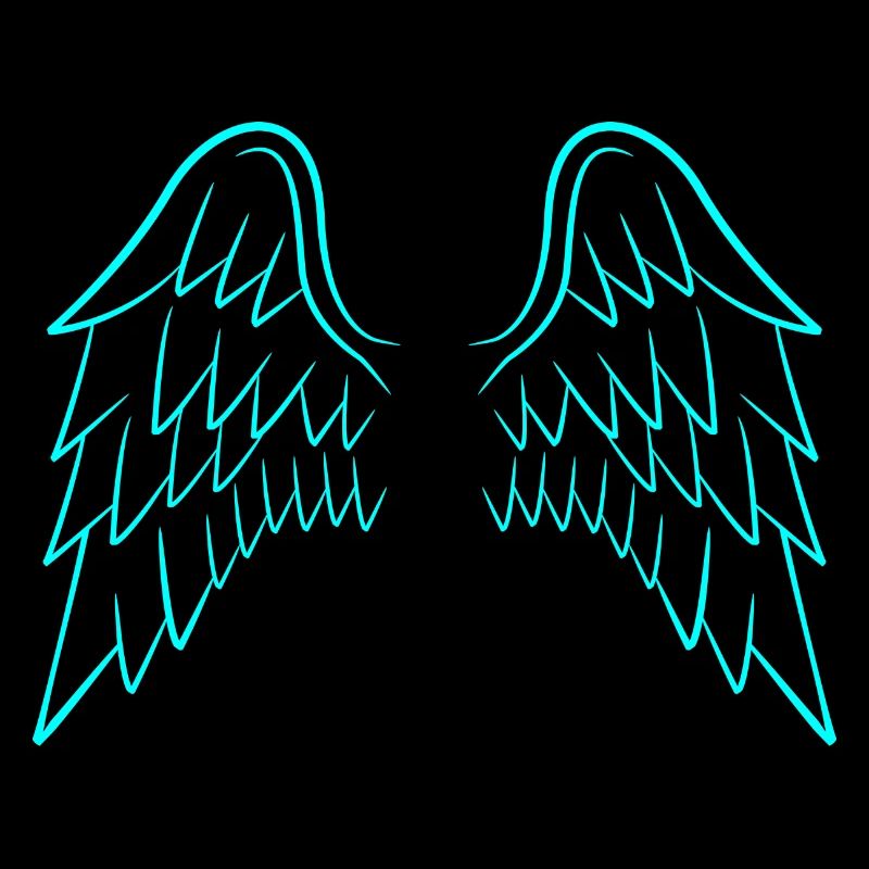 Ailes d'ange ailes