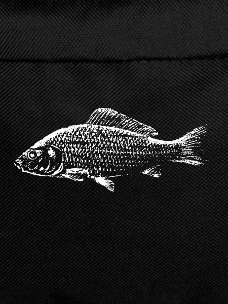 Carp Fish