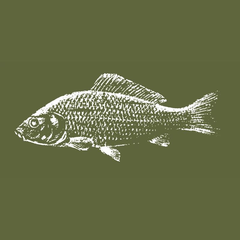 Carp Fish
