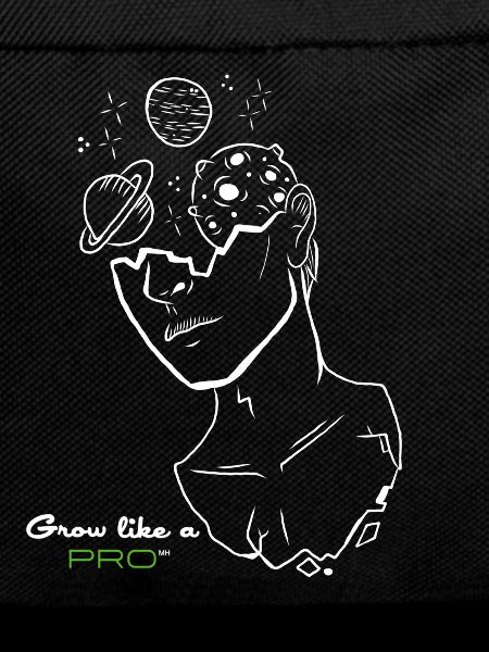 Spacy Grow Like A Pro