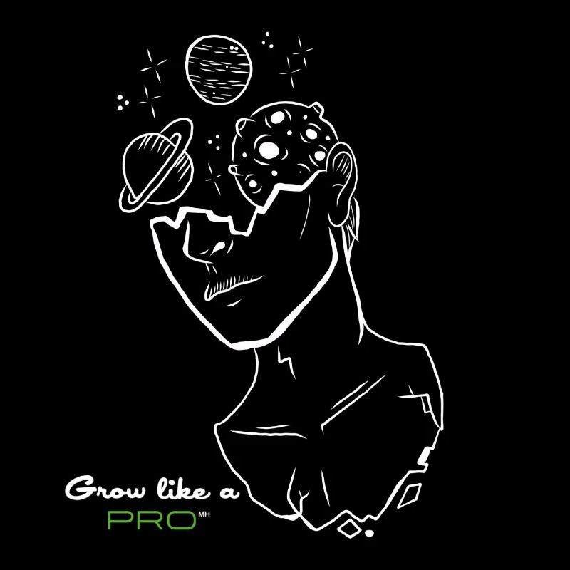 Spacy Grow comme un pro
