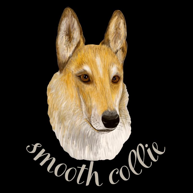 Smooth collie