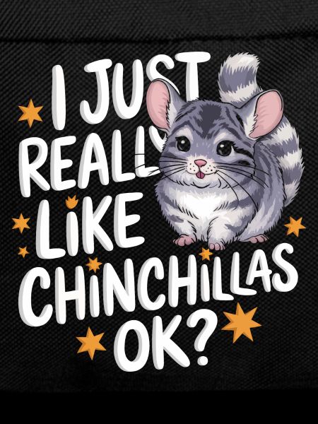 Chinchilla Chinchillas Mouse