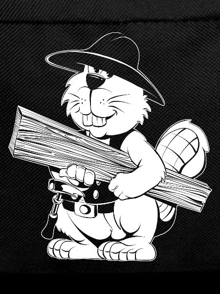 Carpenter Cartoon