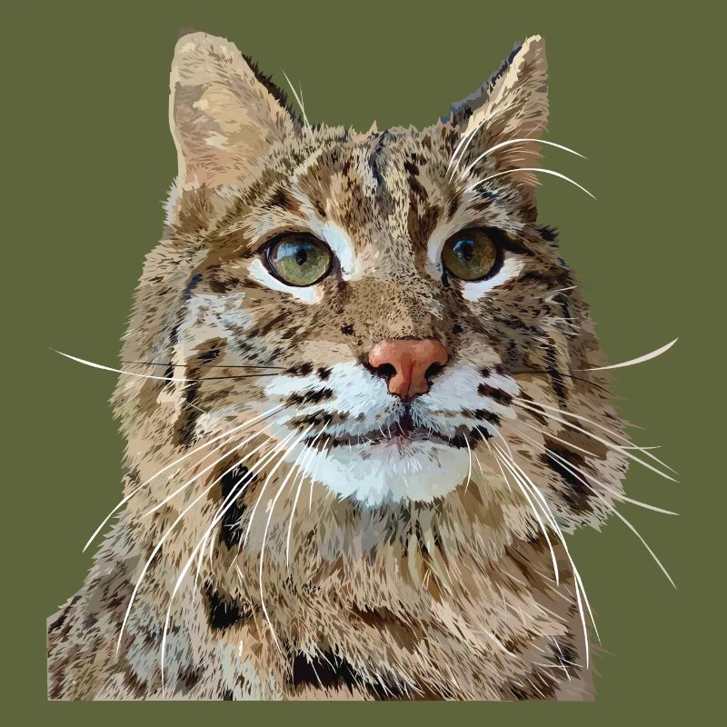 Lynx