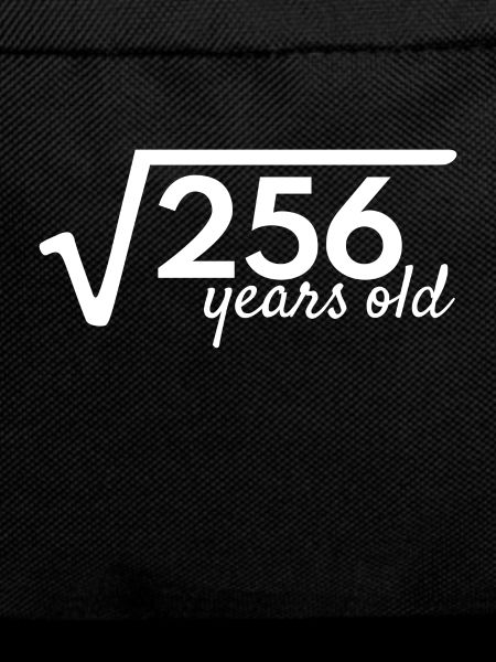 16 year old root math