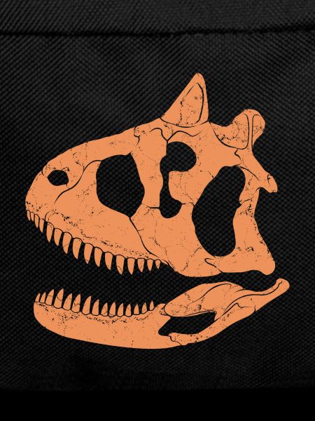 Carnotaurus fossil skull
