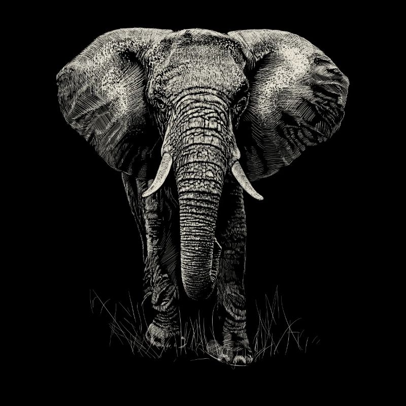 Elefant