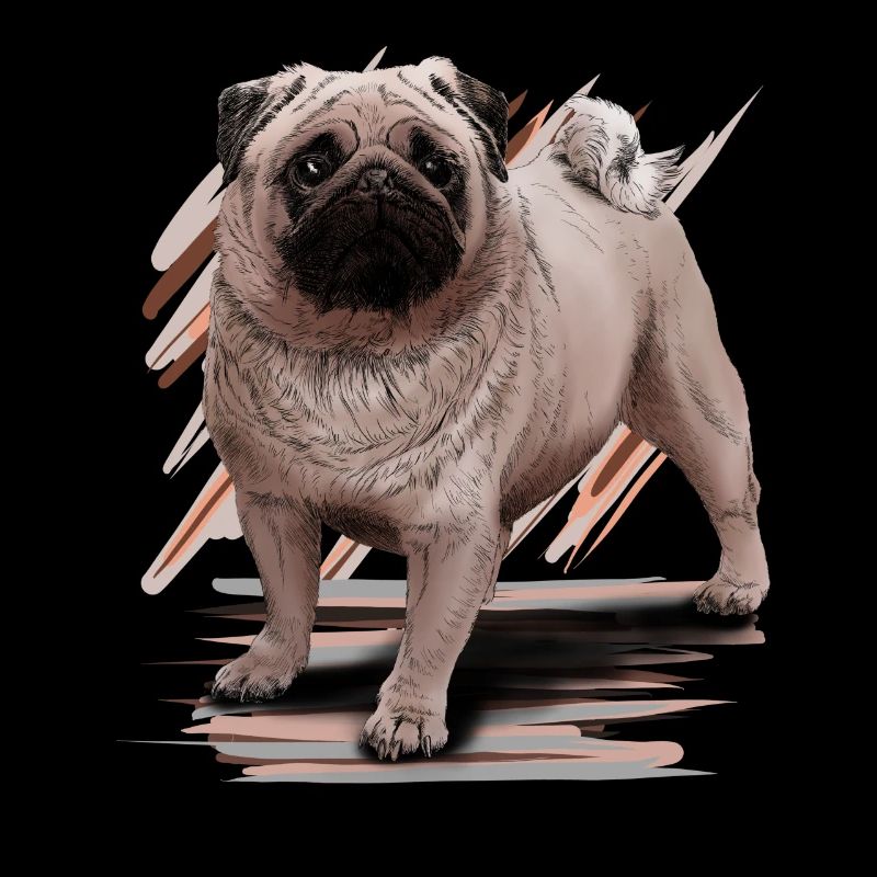 Pug