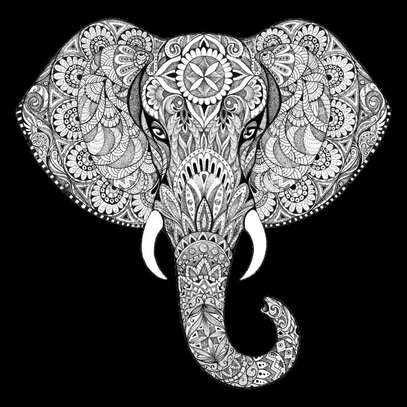 Elefant