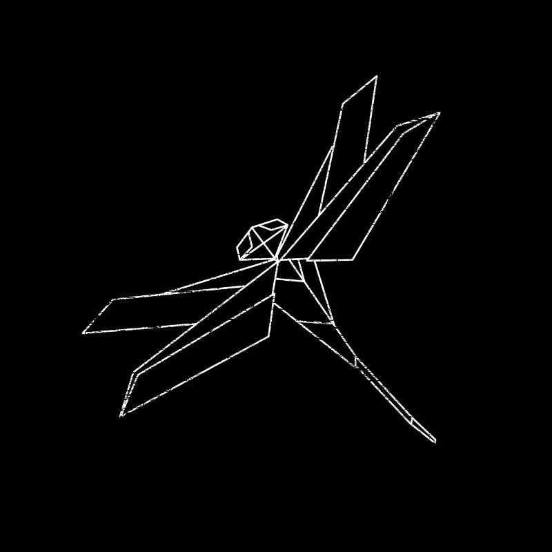 Insecte diagonale de libellule