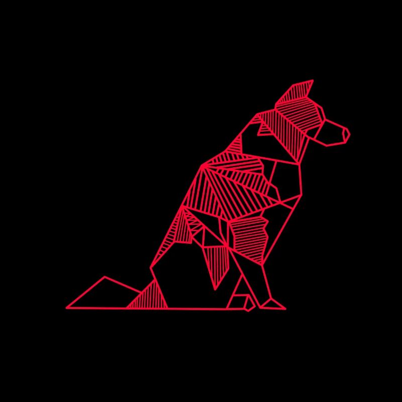 Border Collie geometric