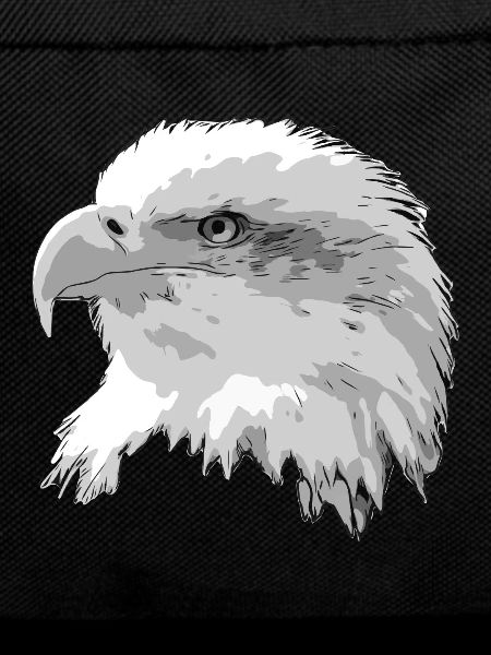 Tête d'aigle