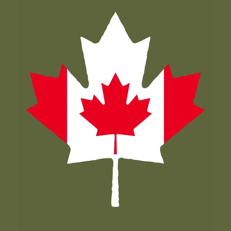 Maple Maple Leaf Canada