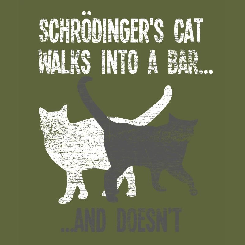 Physics Schrödinger