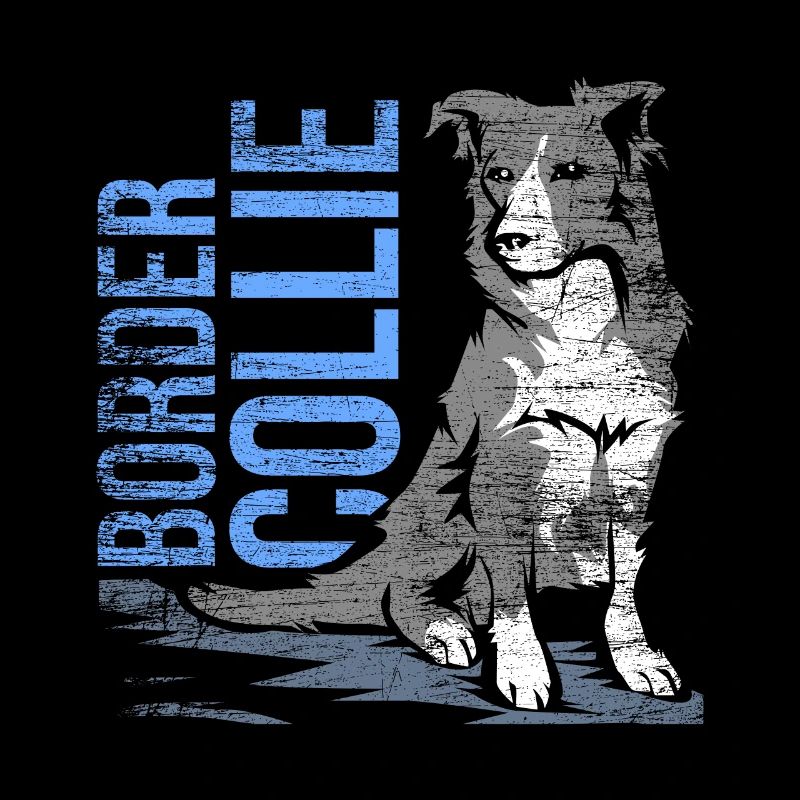Border collie