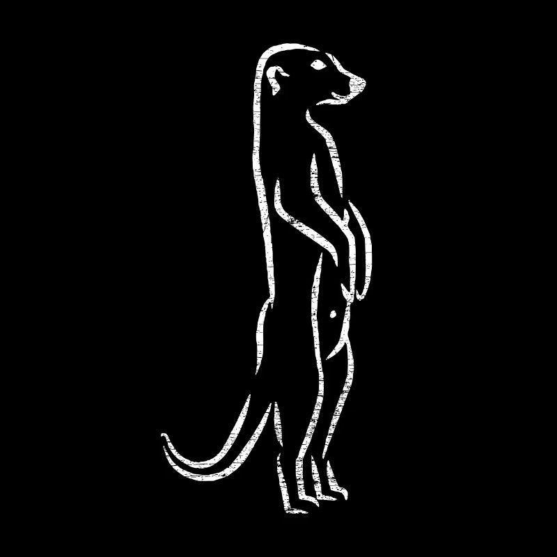 Meerkat Africa