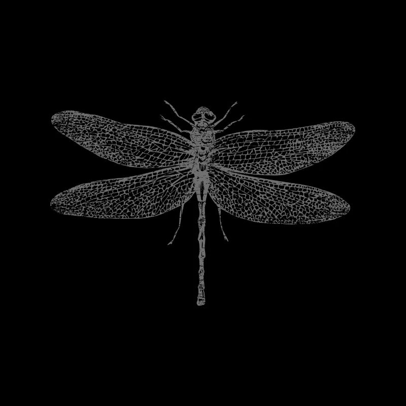 dragonflies