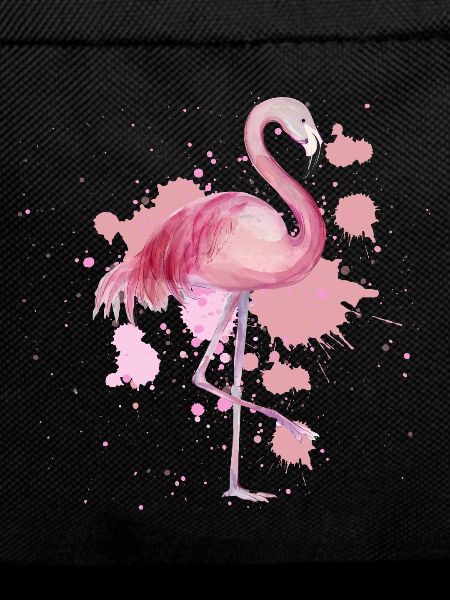 Flamingo Vogel