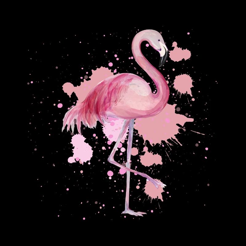 Flamingo Vogel