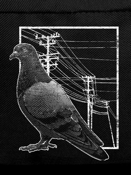 Dove