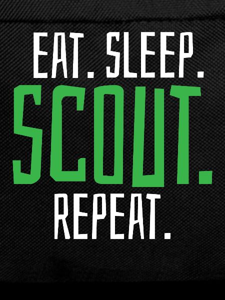 Scout Scouting