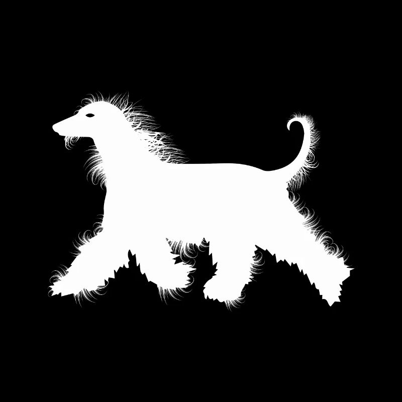 Afghanischer Windhund