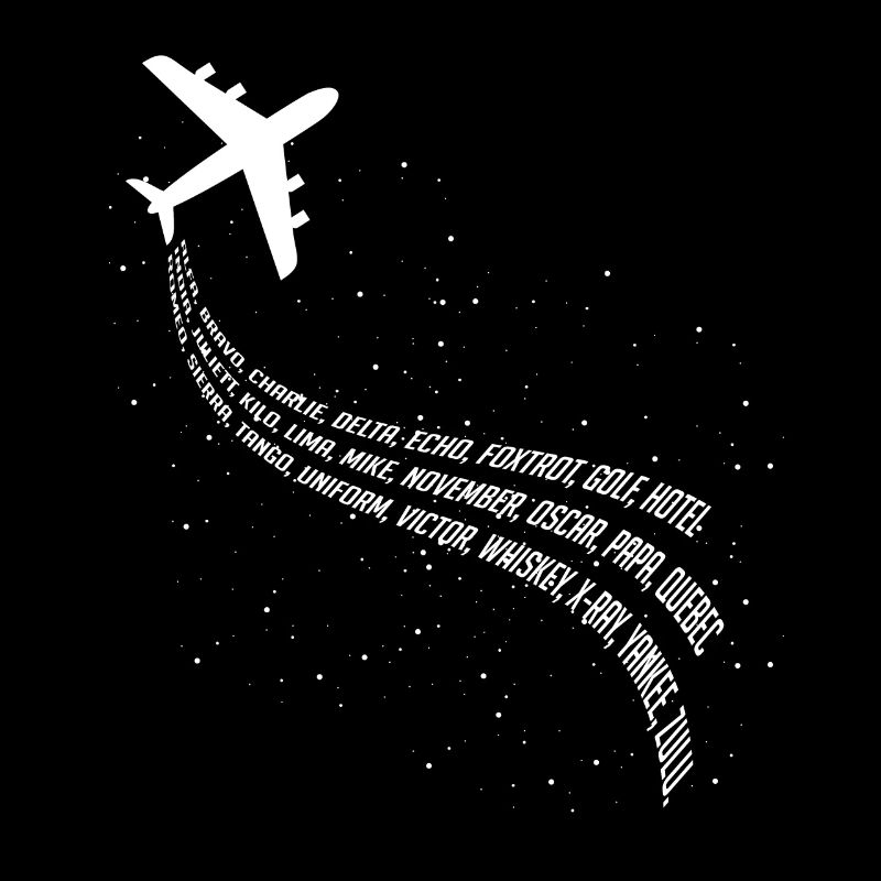 Avion pilote Globe