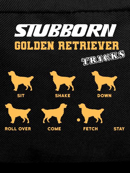 Golden Retriever Tricks