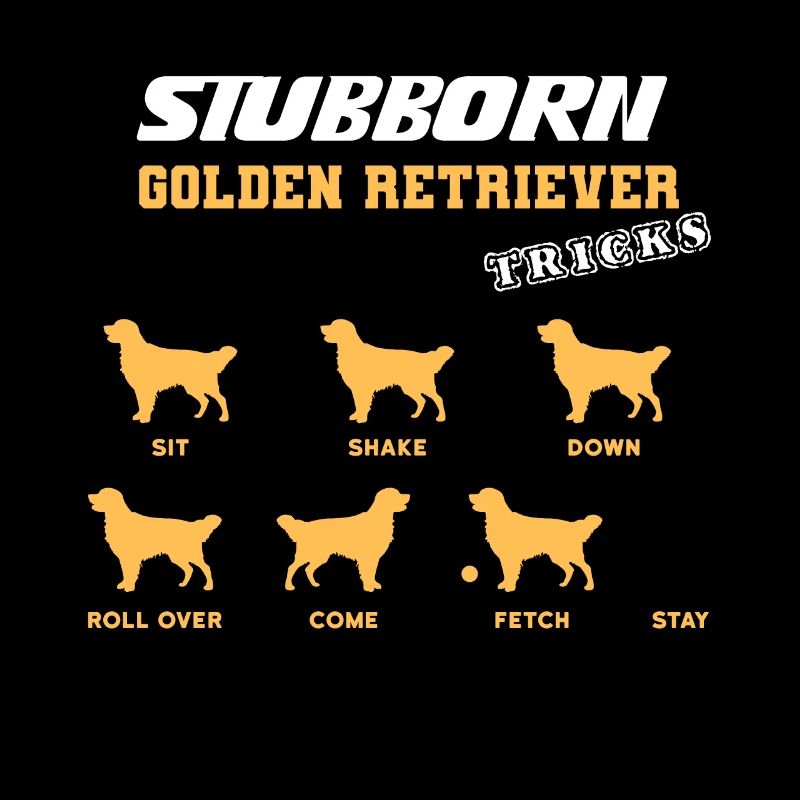 Golden Retriever Tricks