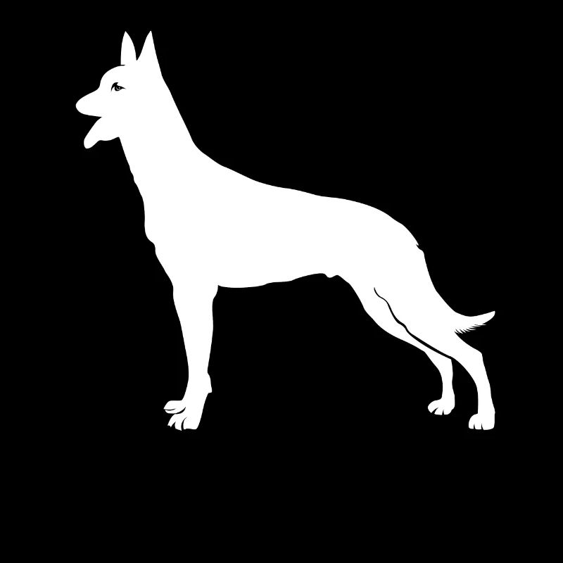 Belgian Malinois