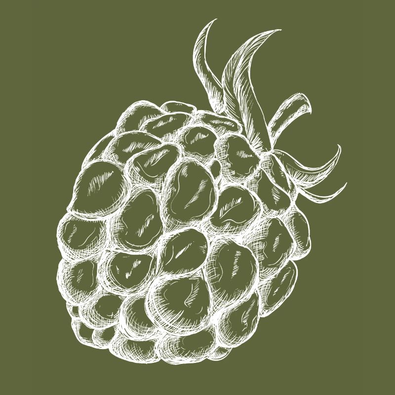Raspberry