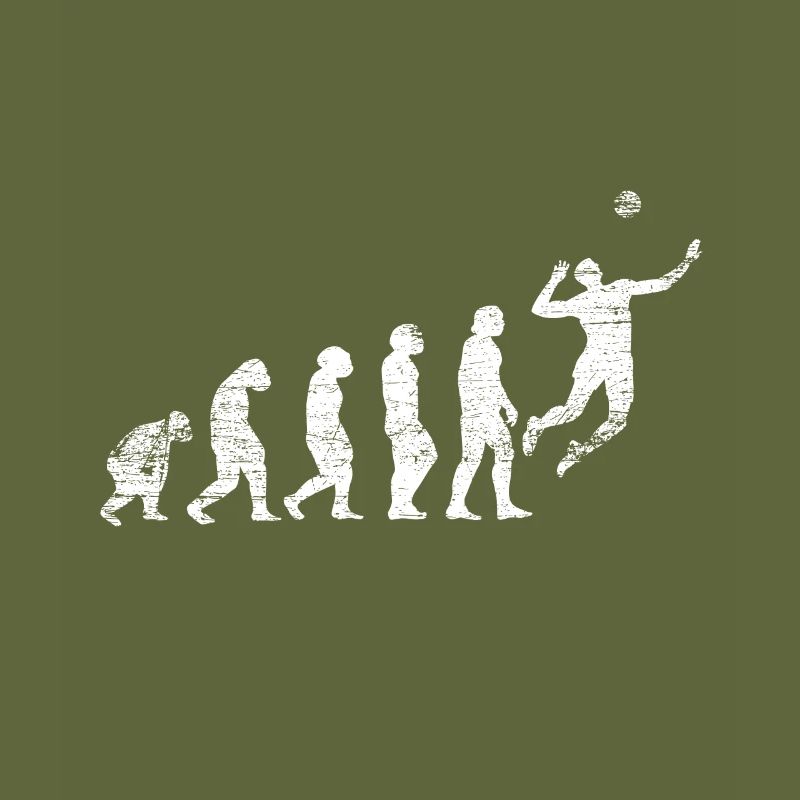 Evolution volleyball