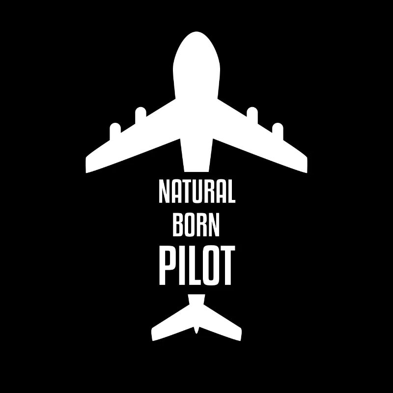 Pilot flying trips