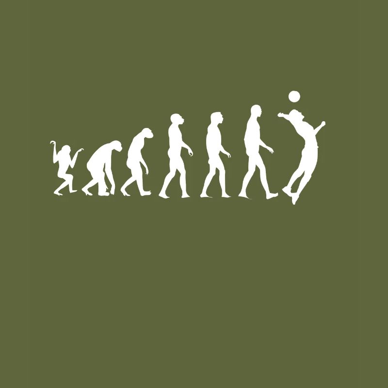Volleyball Evolution